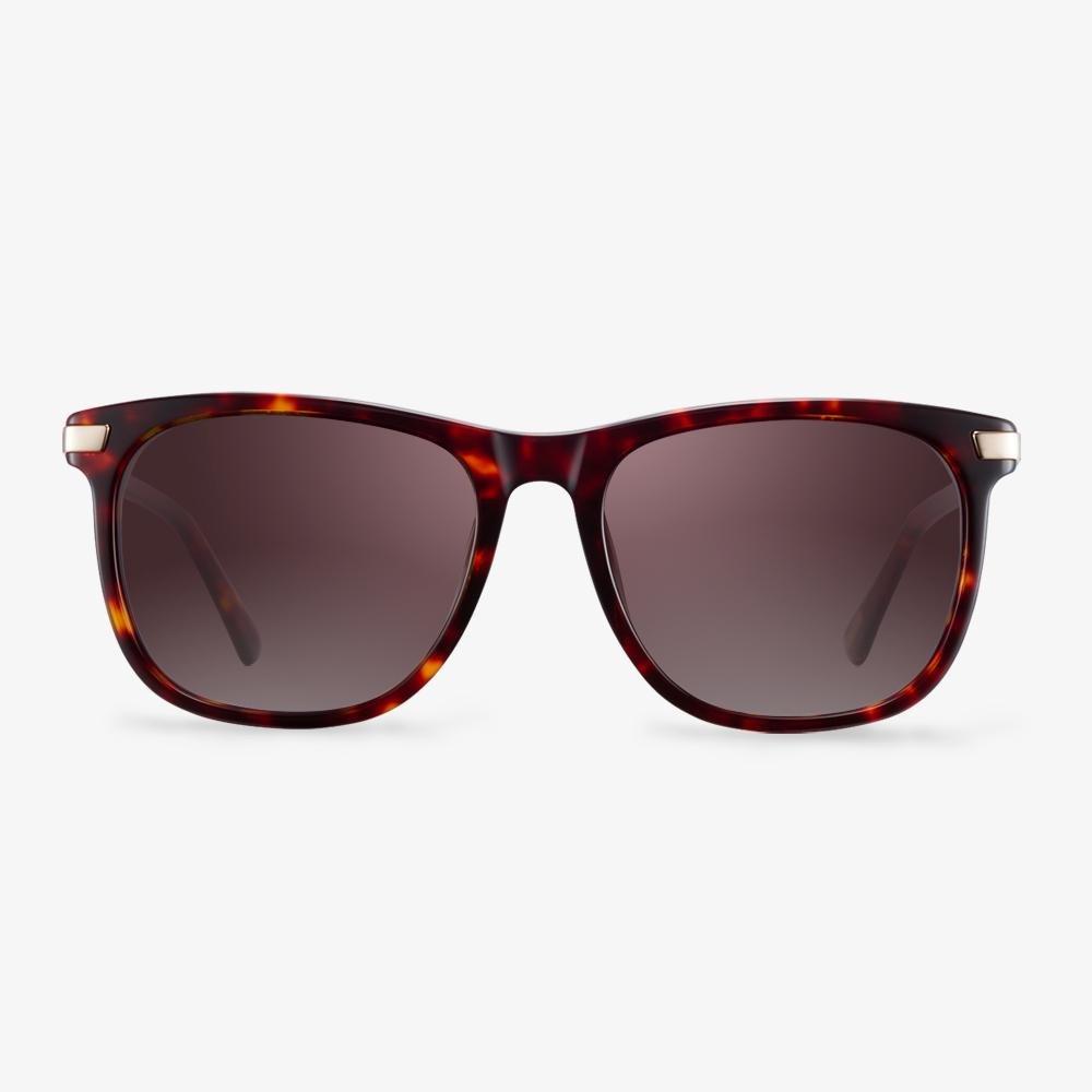 Square Frame Sunglasses | Oversized Square Sunglasses | KOALAEYE